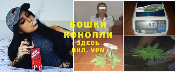 ГАЛЛЮЦИНОГЕННЫЕ ГРИБЫ Козельск