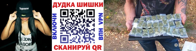 купить   Петровск  Канабис Amnesia 